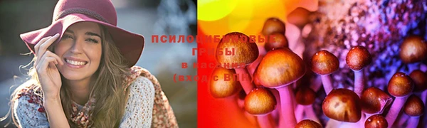 скорость Гусев
