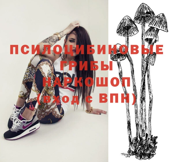 COCAINE Гусь-Хрустальный