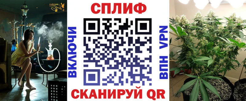мориарти Telegram где найти наркотики Арзамас Конопля конопля OMG tor